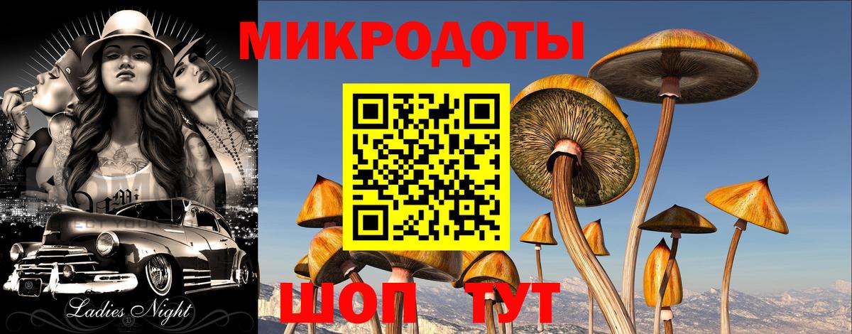 Трёхгорный  Галлюциногенные грибы Cubensis  Вход с VPN 